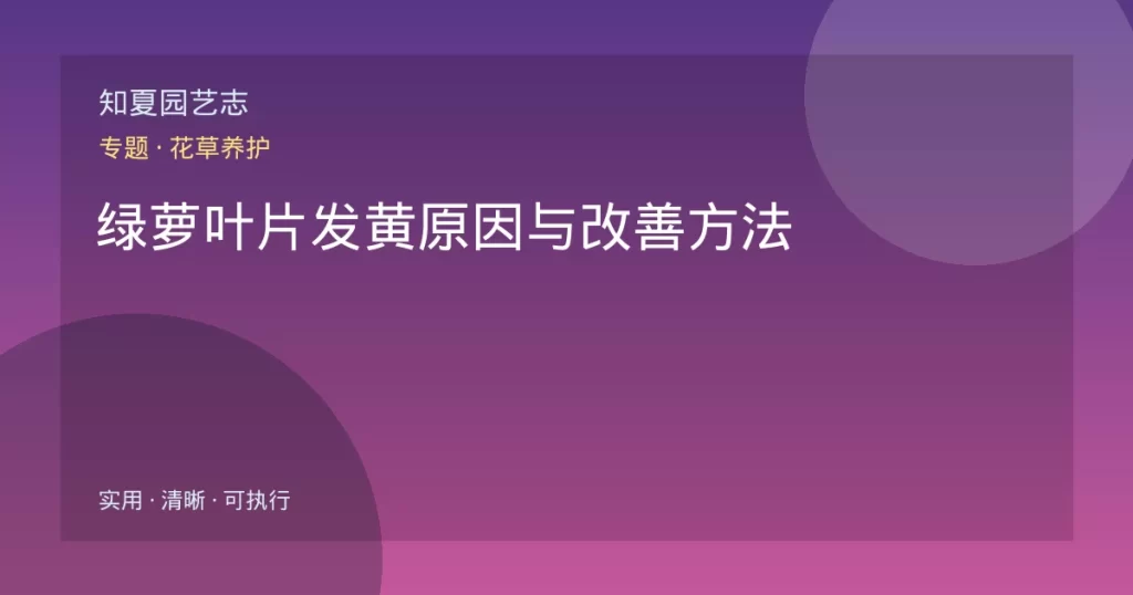 绿萝叶片发黄原因与改善方法