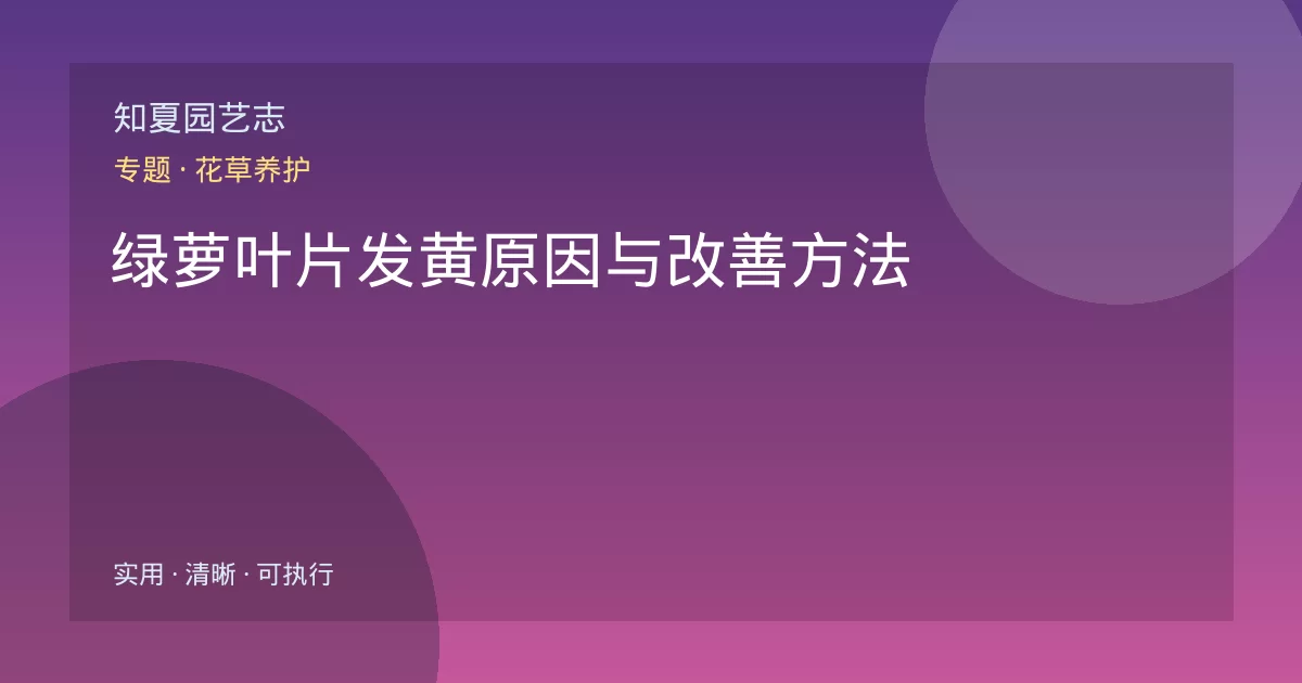 绿萝叶片发黄原因与改善方法